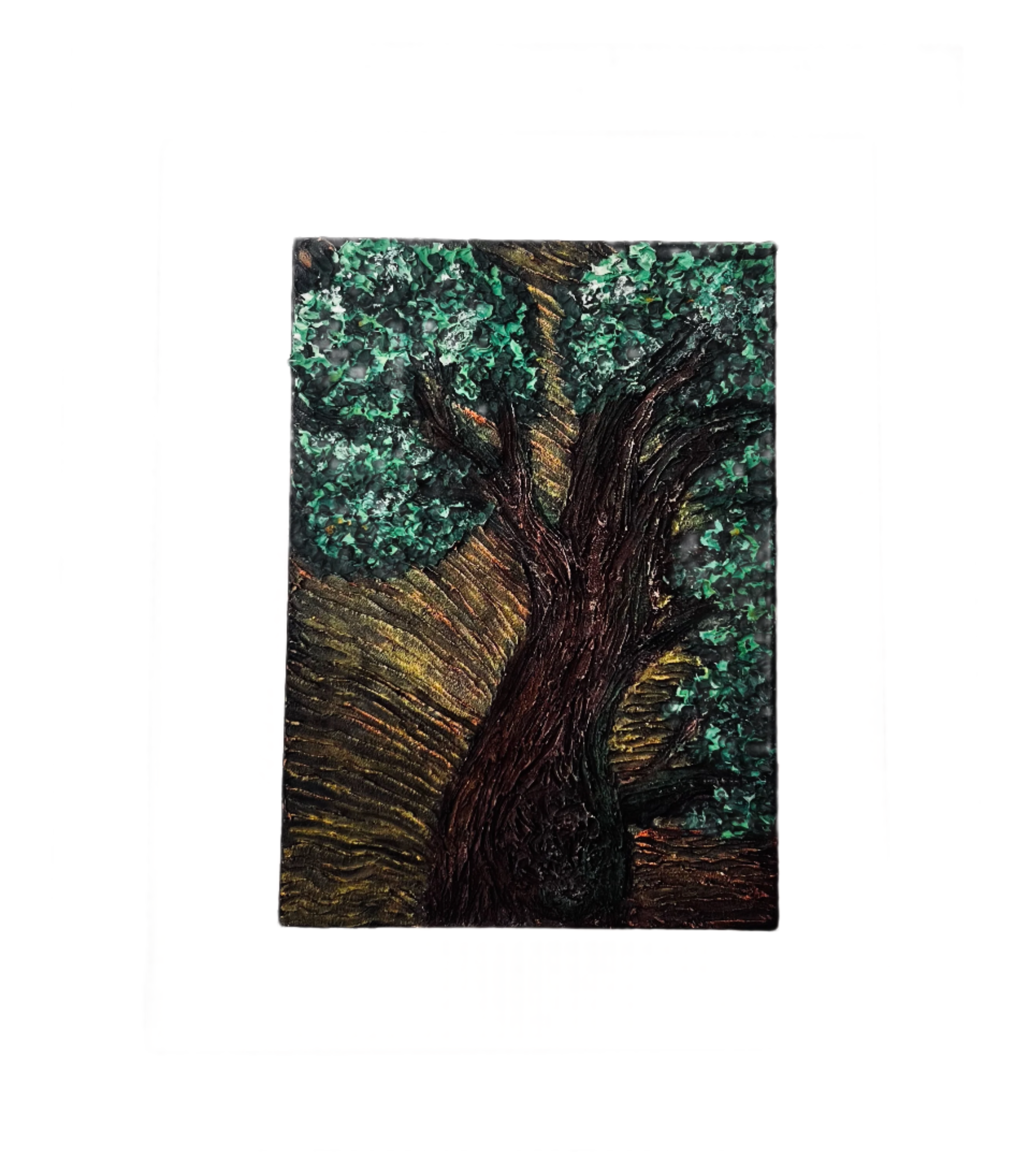 Early morning oak ( 5 W x 7 H )