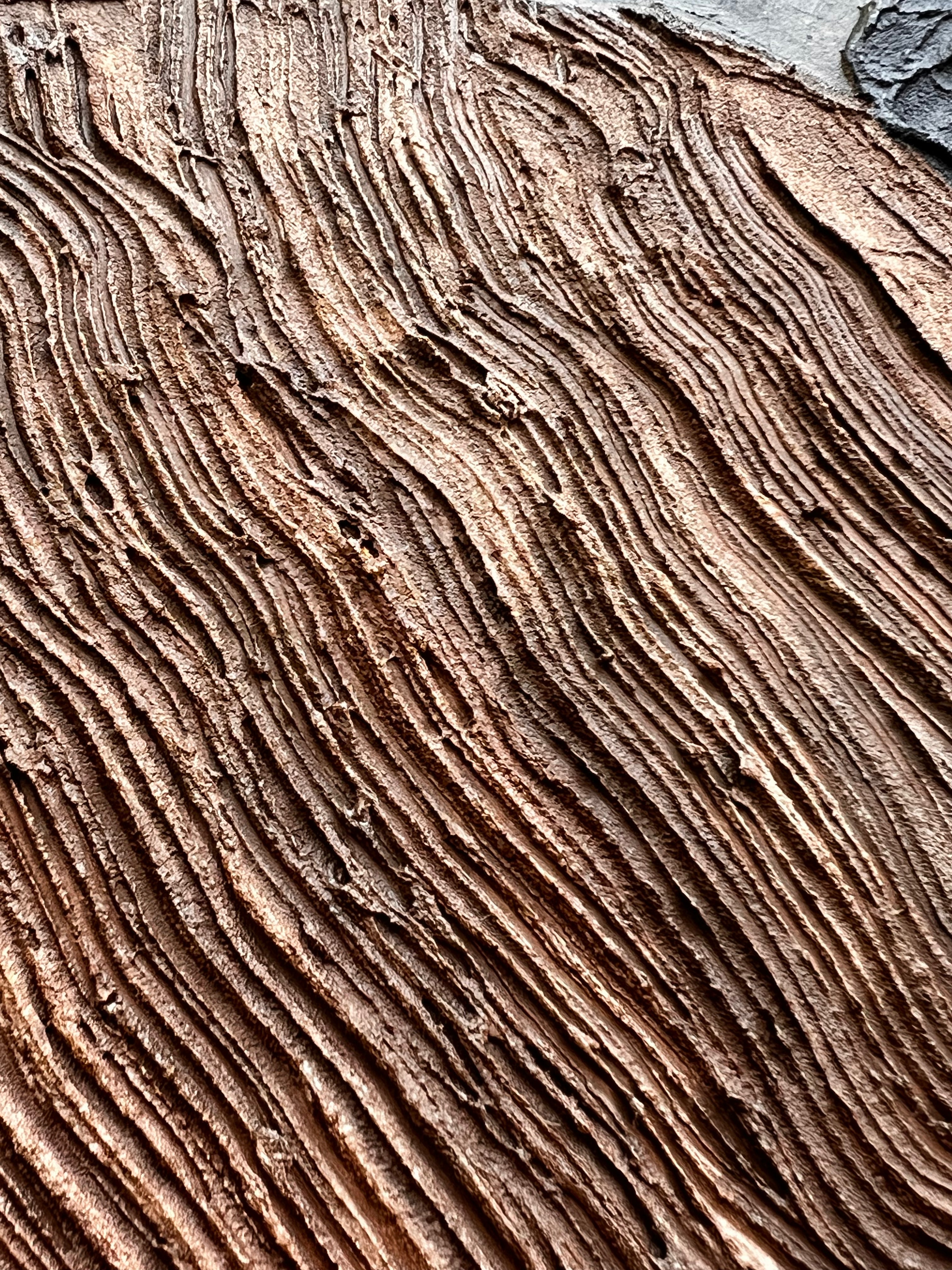 Relic of Form and Time — Carved Continuum, textured contemporary relief artwork by Alla Anew inspired by carved wood forms detail (2)